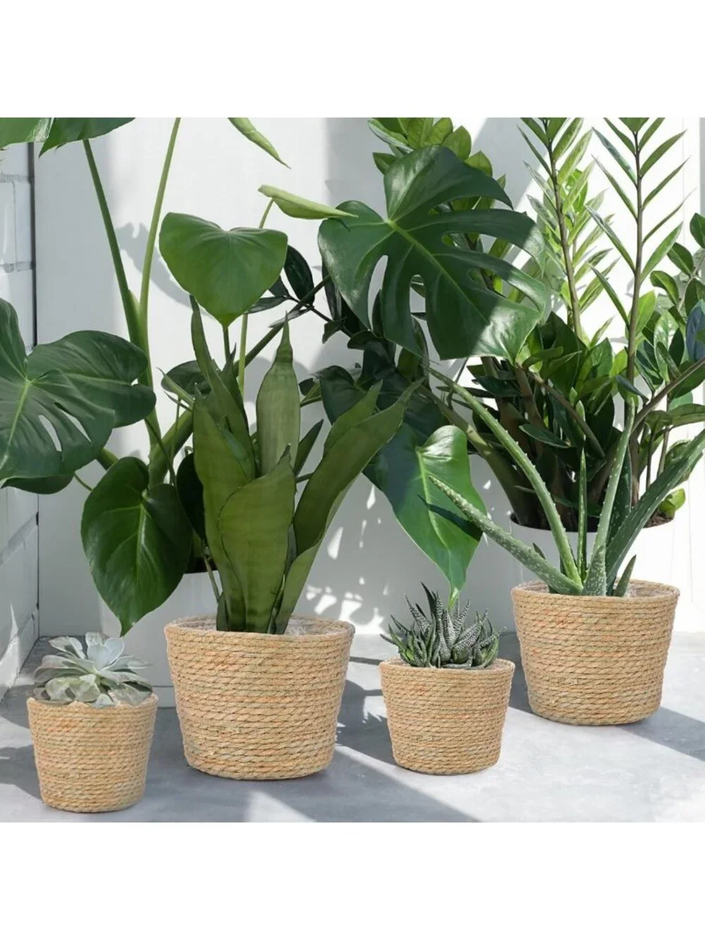 Hand Woven Seagrass Planter Basket Set of 6 | Classic Flower Pot Covers